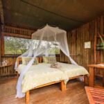 Mosetlha Lodge 00008 1