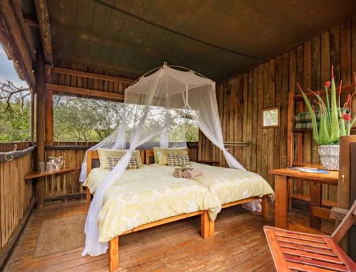 Mosetlha Lodge 00008 1