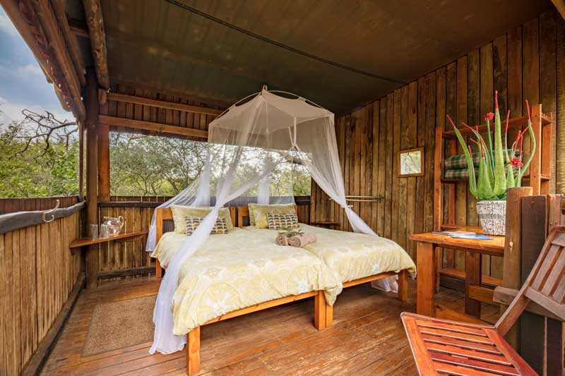 Mosetlha Lodge 00008 1