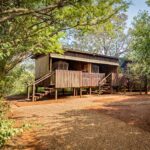 Mosetlha Lodge 00029