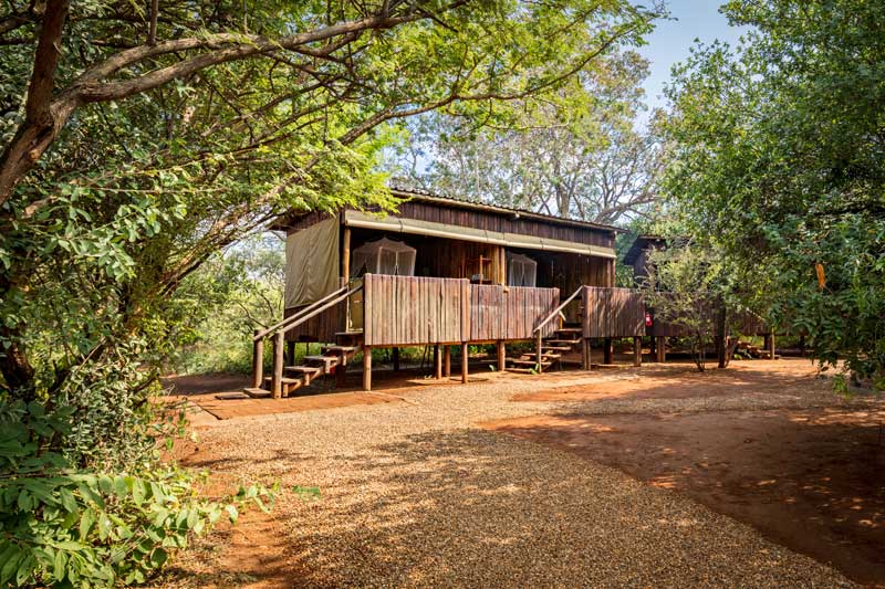 Mosetlha Lodge 00029 3