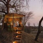 bushcamp