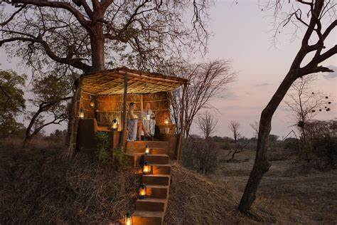 bushcamp