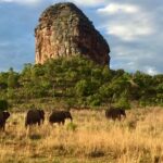 entabeni-kingfisher lodge