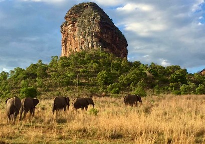 entabeni-kingfisher lodge