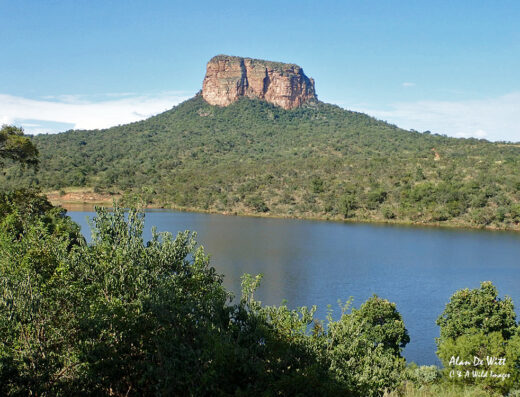 Entabeni Lakeside Lodge waterberge Private lodge