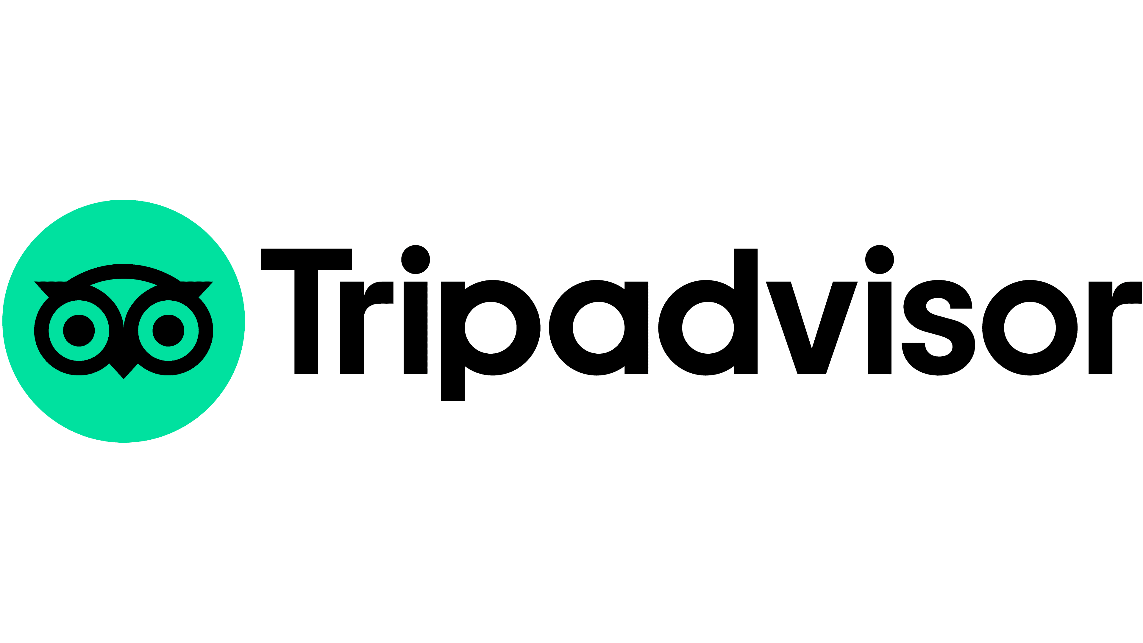 About SA Traveler 14 tripadvisor logo