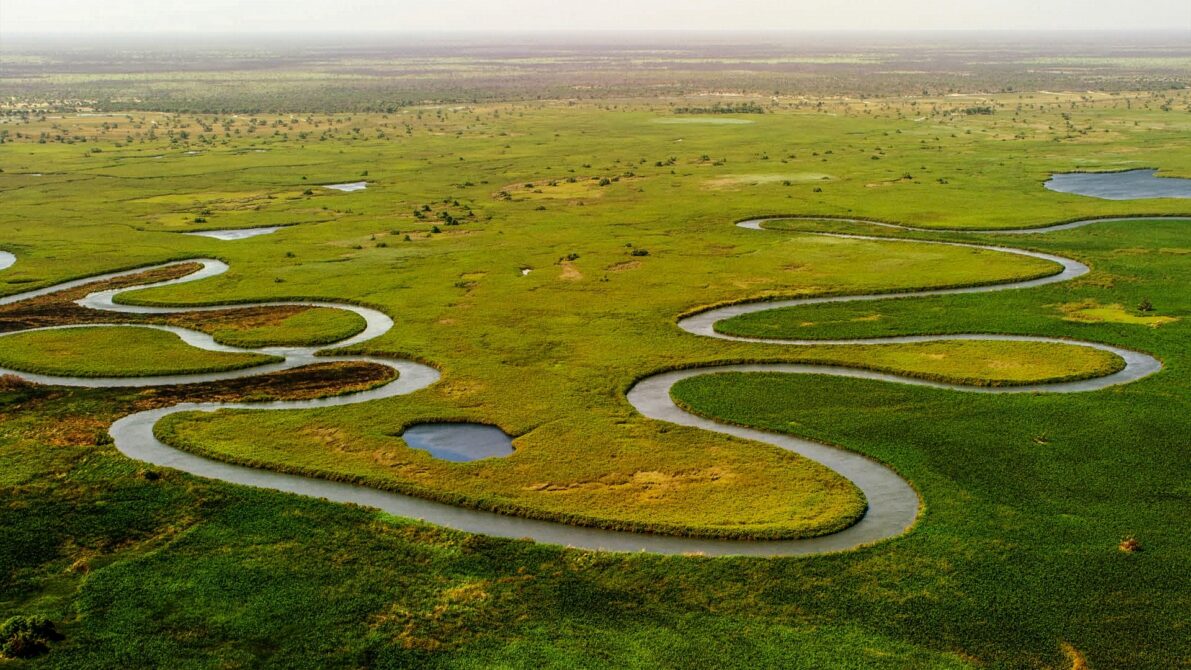 okavango delta 5158380 1920